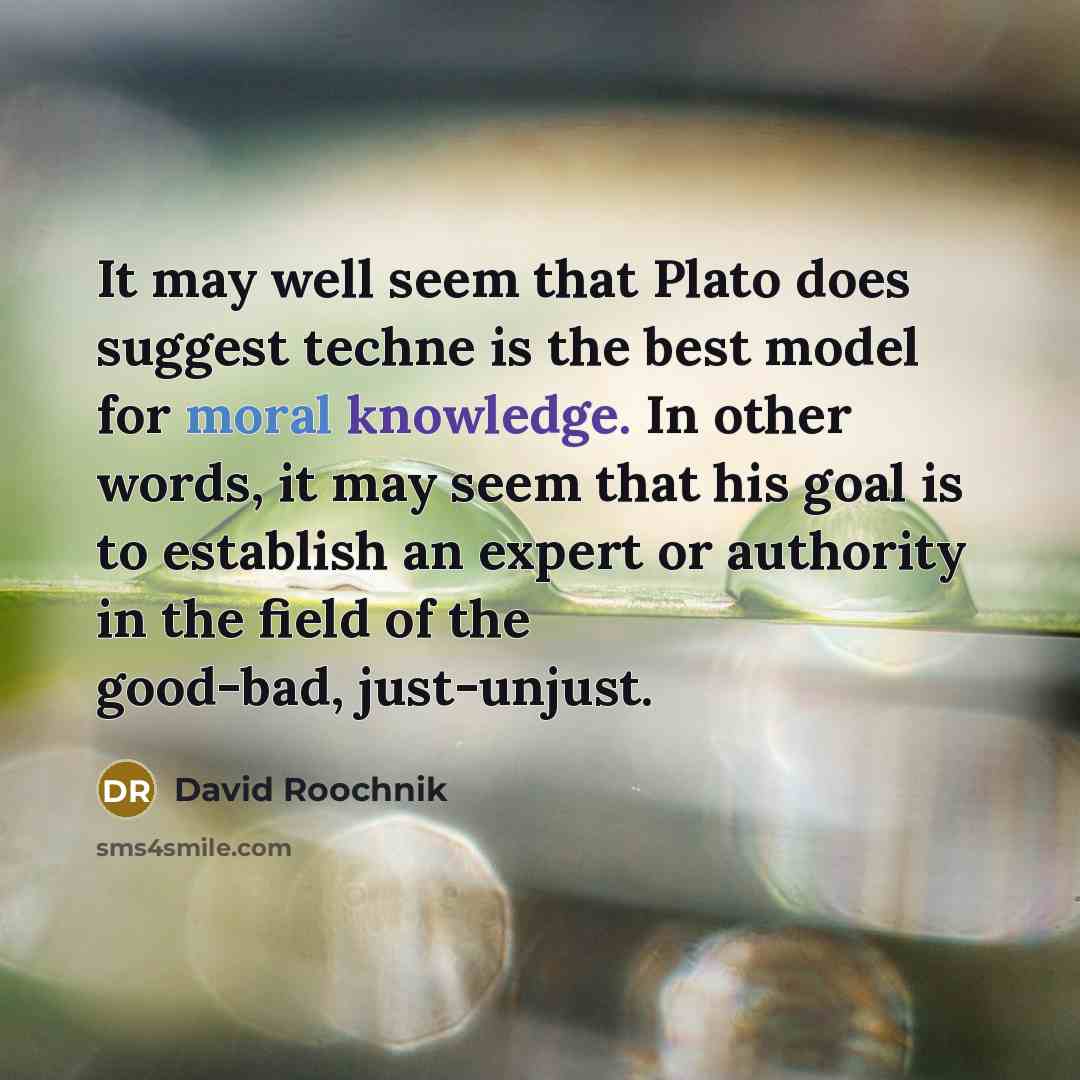 “It may well seem that Plato does suggest techne is the best model for moral knowledge. In other words, it may seem that his goal is to establish an expert or authority in the field of the good-bad, just-unjust.” quote by David Roochnik