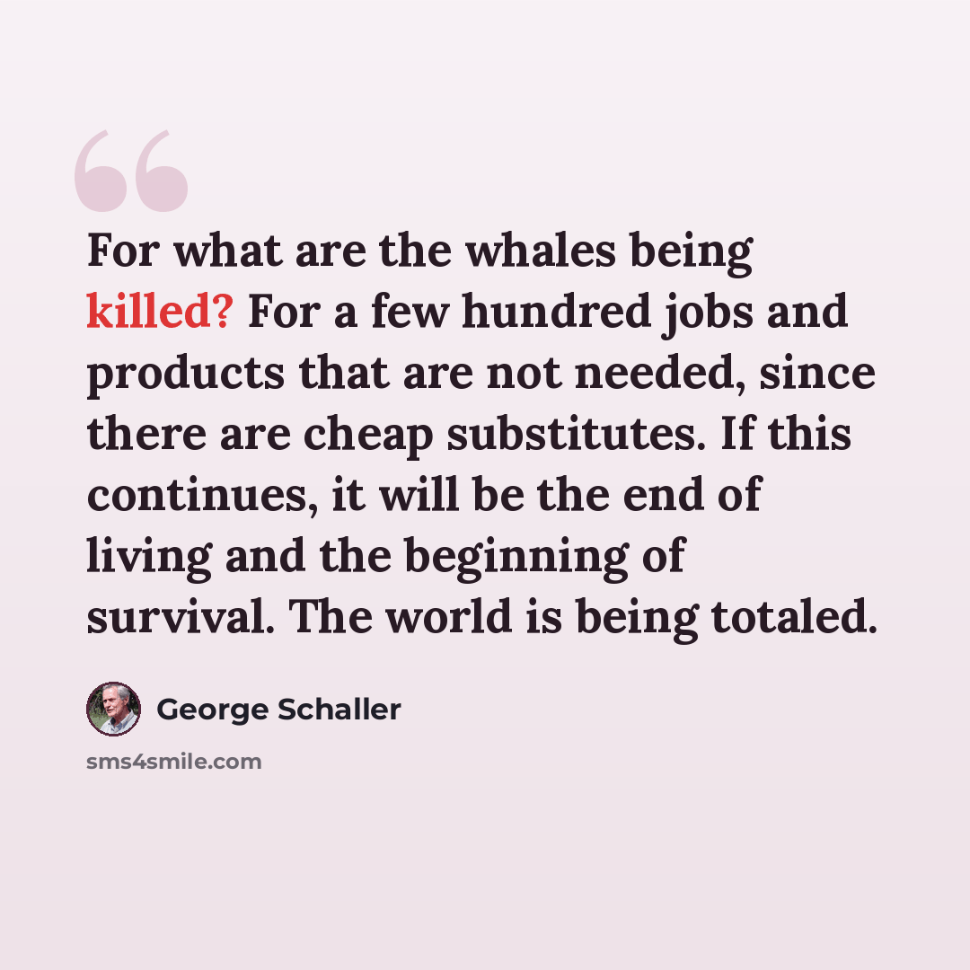 “For what are the whales being killed? For a few hundred jobs and products that are not needed, since there are cheap substitutes. If this continues, it will be the end of living and the beginning of survival. The world is being totaled.” quote by George Schaller