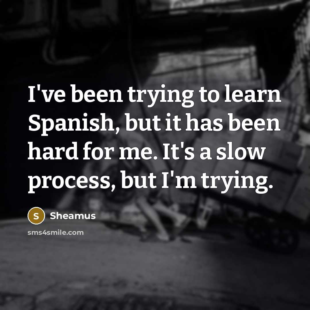 “I've been trying to learn Spanish, but it has been hard for me. It's a slow process, but I'm trying.” quote by Sheamus