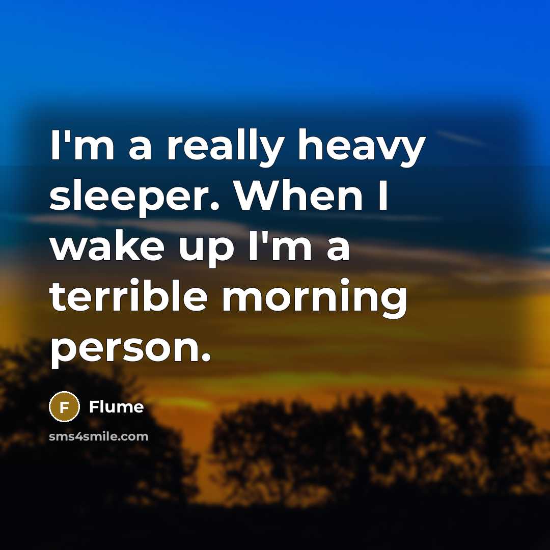“I'm a really heavy sleeper. When I wake up I'm a terrible morning person.” quote by Flume