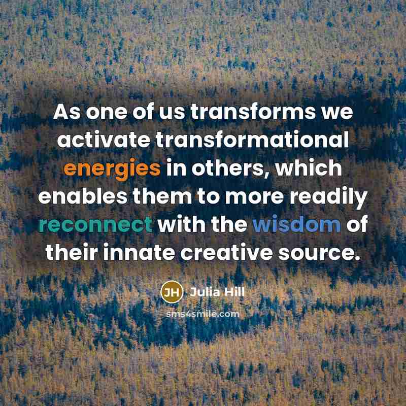 “As one of us transforms we activate transformational energies in others, which enables them to more readily reconnect with the wisdom of their innate creative source.” quote by Julia Hill