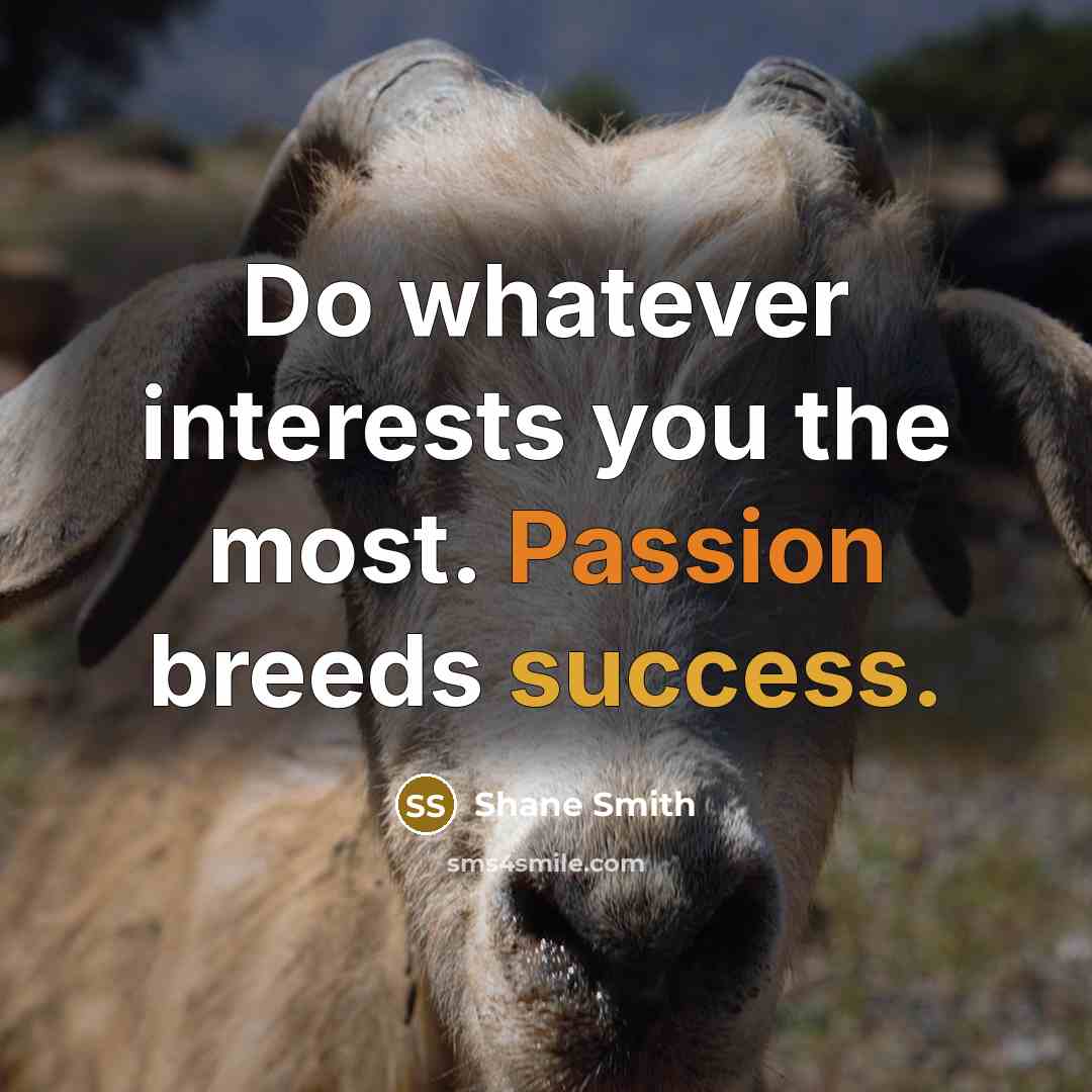 “Do whatever interests you the most. Passion breeds success.” quote by Shane Smith