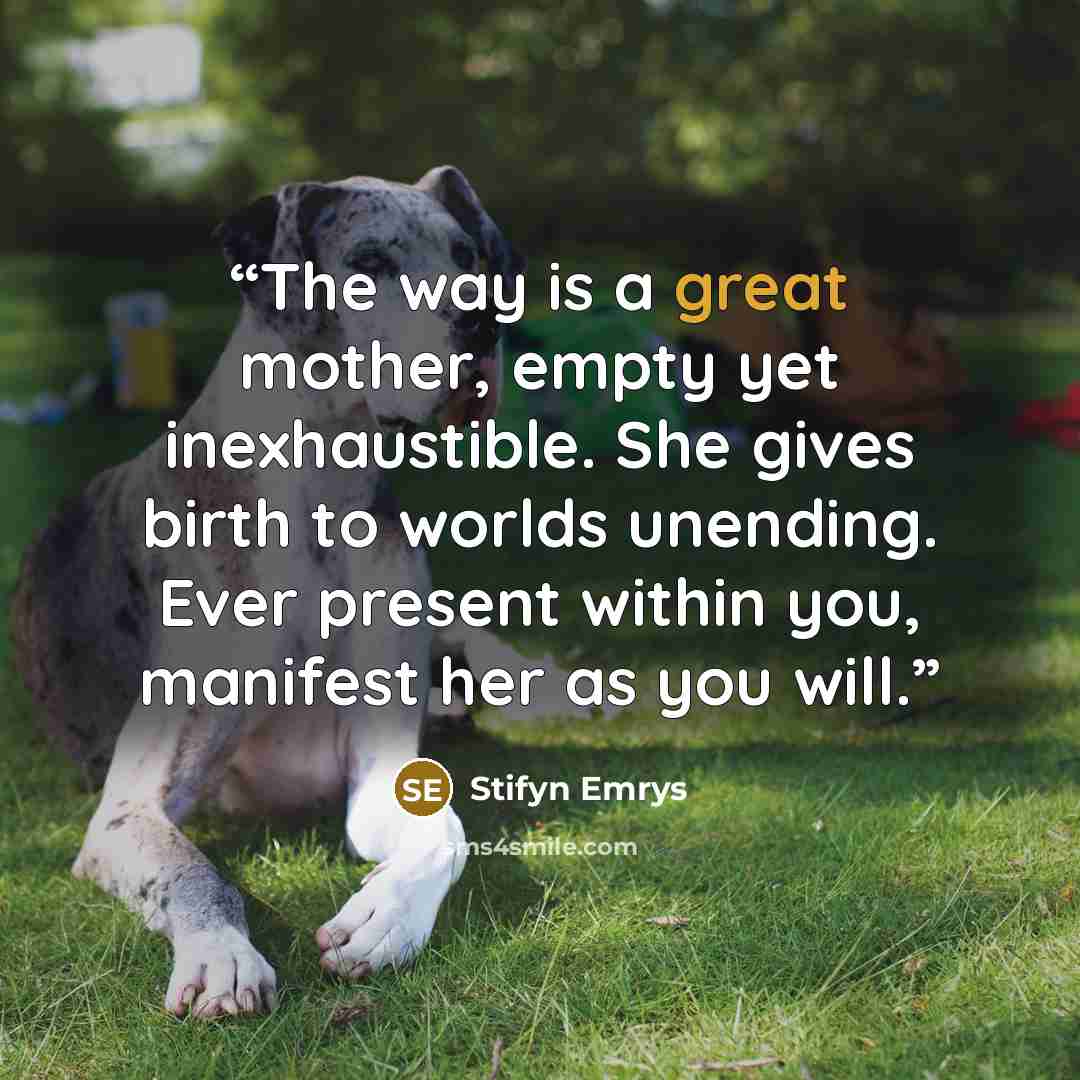 “The way is a great mother, empty yet inexhaustible. She gives birth to worlds unending. Ever present within you, manifest her as you will.” quote by Stifyn Emrys