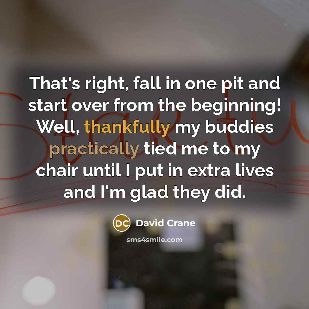 “That's right, fall in one pit and start over from the beginning! Well, thankfully my buddies practically tied me to my chair until I put in extra lives and I'm glad they did.” quote by David Crane