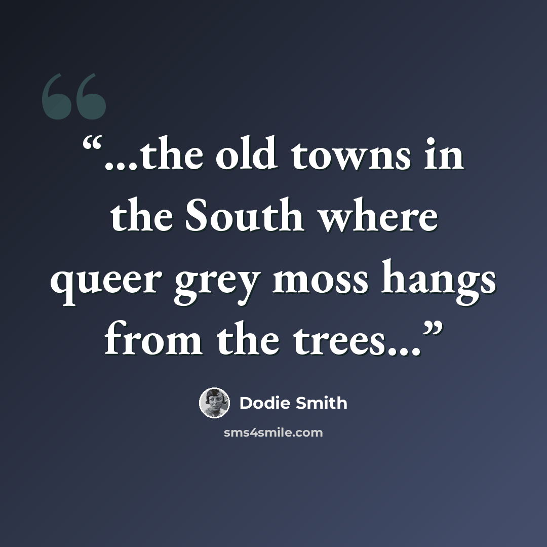“...the old towns in the South where queer grey moss hangs from the trees...” quote by Dodie Smith