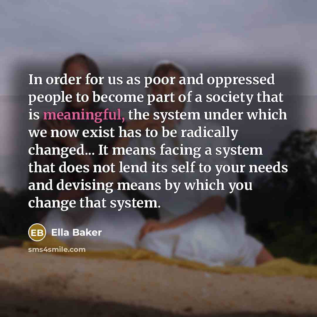 “In order for us as poor and oppressed people to become part of a society that is meaningful, the system under which we now exist has to be radically changed... It means facing a system that does not lend its self to your needs and devising means by which you change that system.” quote by Ella Baker