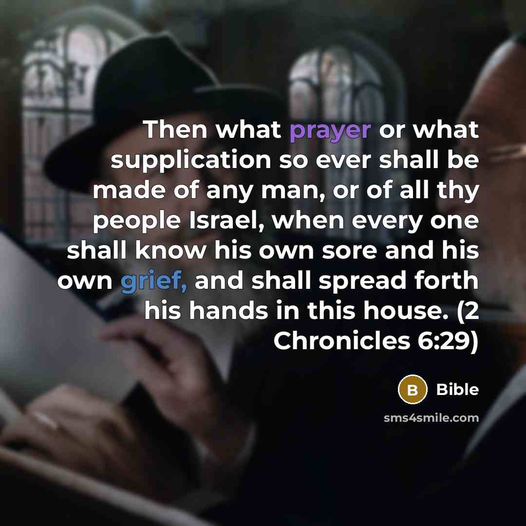 “Then what prayer or what supplication so ever shall be made of any man, or of all thy people Israel, when every one shall know his own sore and his own grief, and shall spread forth his hands in this house. (2 Chronicles 6:29)” quote by Bible