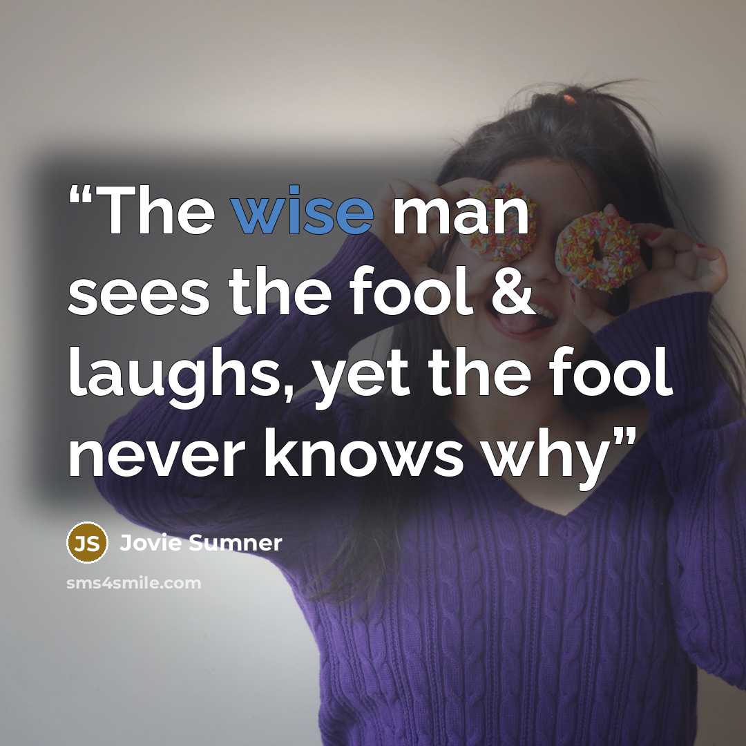 “The wise man sees the fool & laughs, yet the fool never knows why” quote by Jovie Sumner