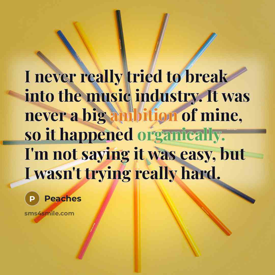 “I never really tried to break into the music industry. It was never a big ambition of mine, so it happened organically. I'm not saying it was easy, but I wasn't trying really hard.” quote by Peaches