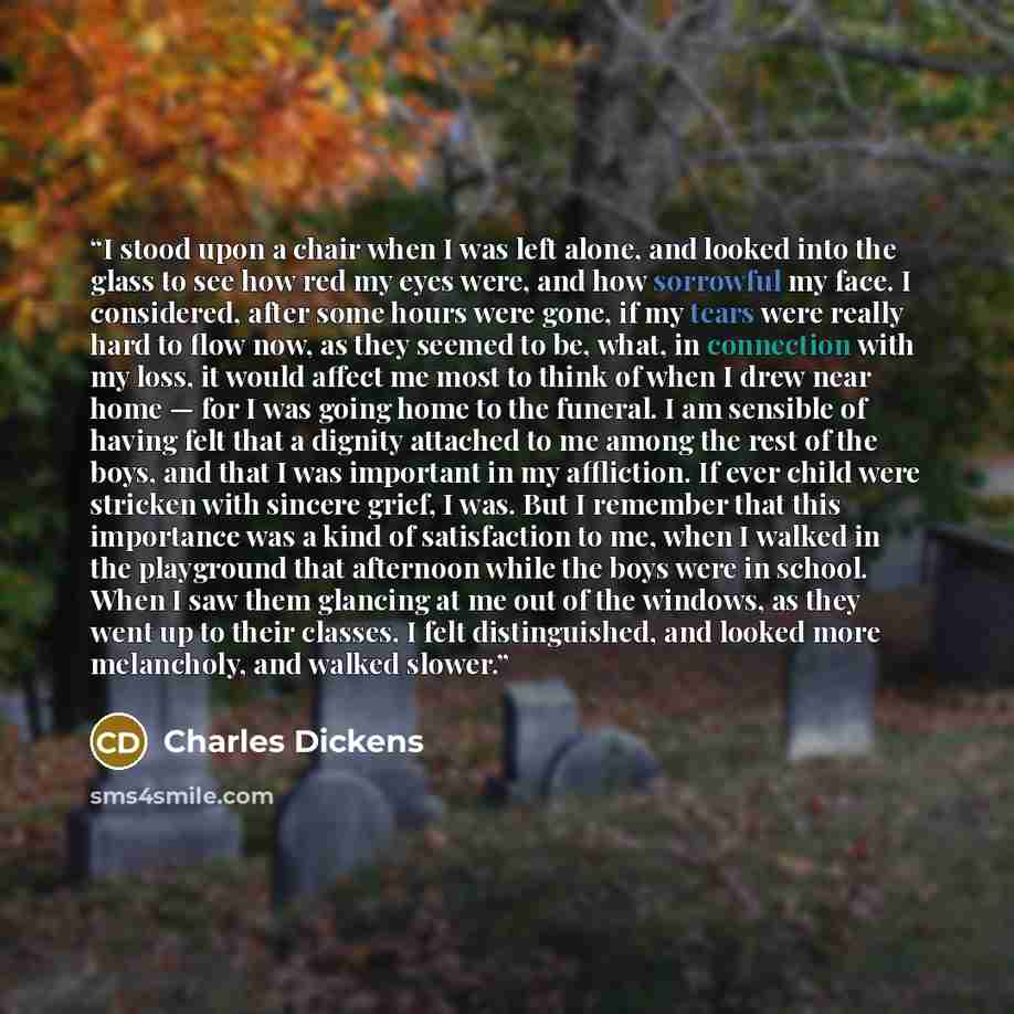 “I stood upon a chair when I was left alone, and looked into the glass to see how red my eyes were, and how sorrowful my face. I considered, after some hours were gone, if my tears were really hard to flow now, as they seemed to be, what, in connection with my loss, it would affect me most to think…” quote by Charles Dickens