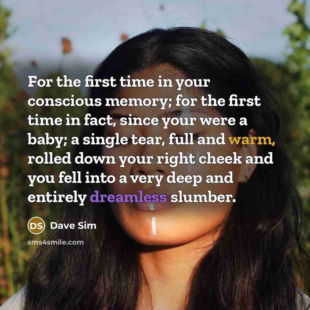 “For the first time in your conscious memory; for the first time in fact, since your were a baby; a single tear, full and warm, rolled down your right cheek and you fell into a very deep and entirely dreamless slumber.” quote by Dave Sim