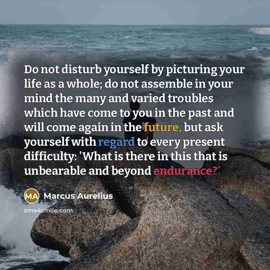 “Do not disturb yourself by picturing your life as a whole; do not assemble in your mind the many and varied troubles which have come to you in the past and will come again in the future, but ask yourself with regard to every present difficulty: 'What is there in this that is unbearable and beyond…” quote by Marcus Aurelius