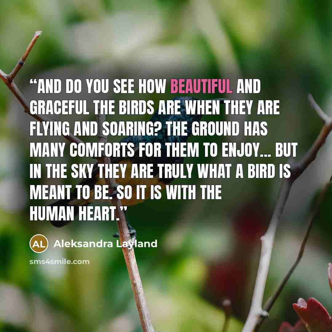 “And do you see how beautiful and graceful the birds are when they are flying and soaring? The ground has many comforts for them to enjoy... But in the sky they are truly what a bird is meant to be. So it is with the human heart.” quote by Aleksandra Layland