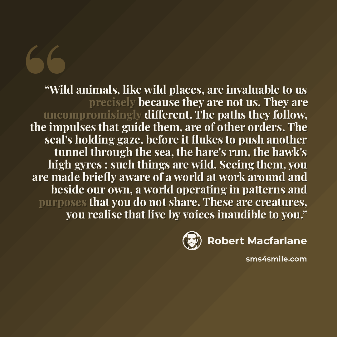 “Wild animals, like wild places, are invaluable to us precisely because they are not us. They are uncompromisingly different. The paths they follow, the impulses that guide them, are of other orders. The seal's holding gaze, before it flukes to push another tunnel through the sea, the hare's run…” quote by Robert Macfarlane