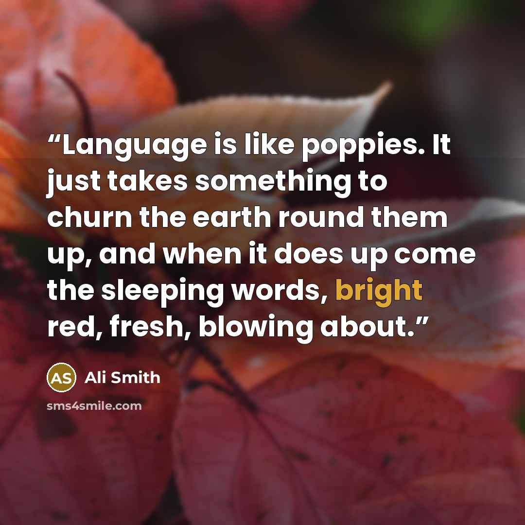 “Language is like poppies. It just takes something to churn the earth round them up, and when it does up come the sleeping words, bright red, fresh, blowing about.” quote by Ali Smith