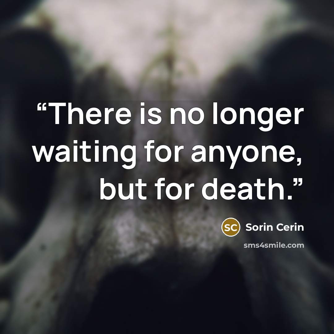 “There is no longer waiting for anyone, but for death.” quote by Sorin Cerin