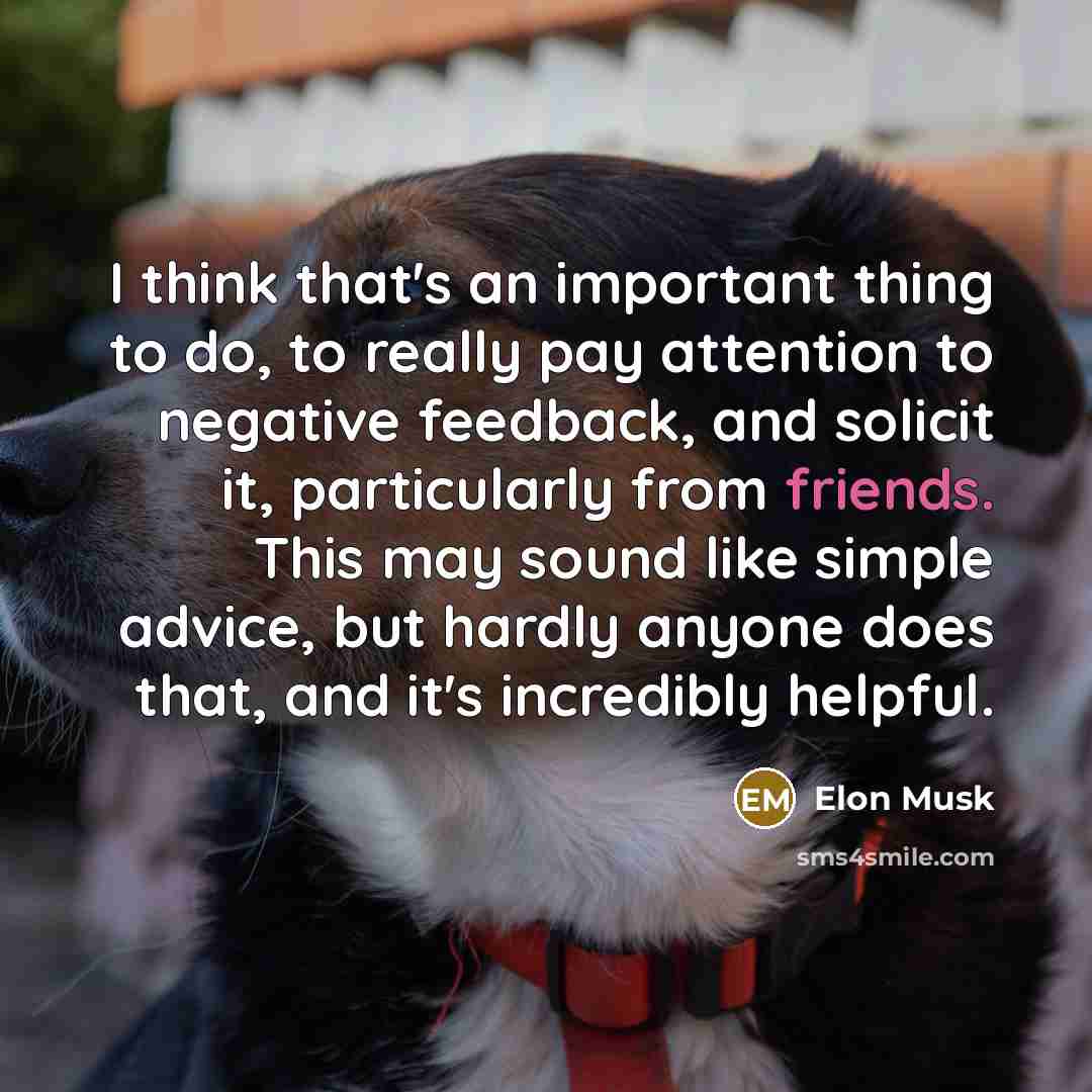 “I think that's an important thing to do, to really pay attention to negative feedback, and solicit it, particularly from friends. This may sound like simple advice, but hardly anyone does that, and it's incredibly helpful.” quote by Elon Musk