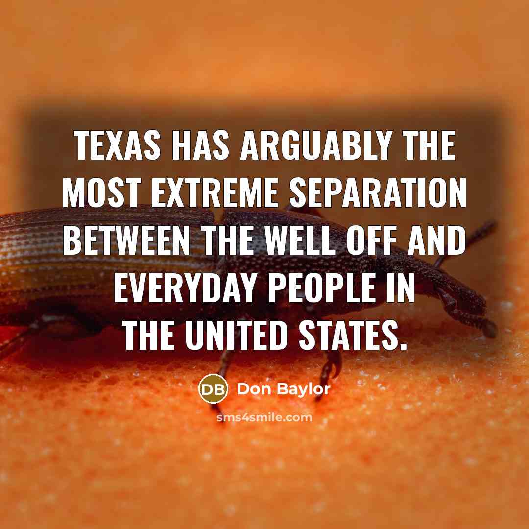 “Texas has arguably the most extreme separation between the well off and everyday people in the United States.” quote by Don Baylor
