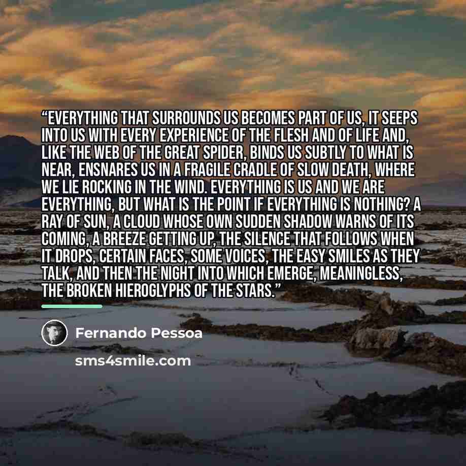 “Everything that surrounds us becomes part of us, it seeps into us with every experience of the flesh and of life and, like the web of the great Spider, binds us subtly to what is near, ensnares us in a fragile cradle of slow death, where we lie rocking in the wind. Everything is us and we are…” quote by Fernando Pessoa