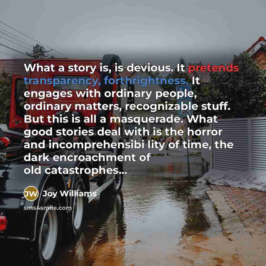 “What a story is, is devious. It pretends transparency, forthrightness. It engages with ordinary people, ordinary matters, recognizable stuff. But this is all a masquerade. What good stories deal with is the horror and incomprehensibi lity of time, the dark encroachment of old catastrophes...” quote by Joy Williams