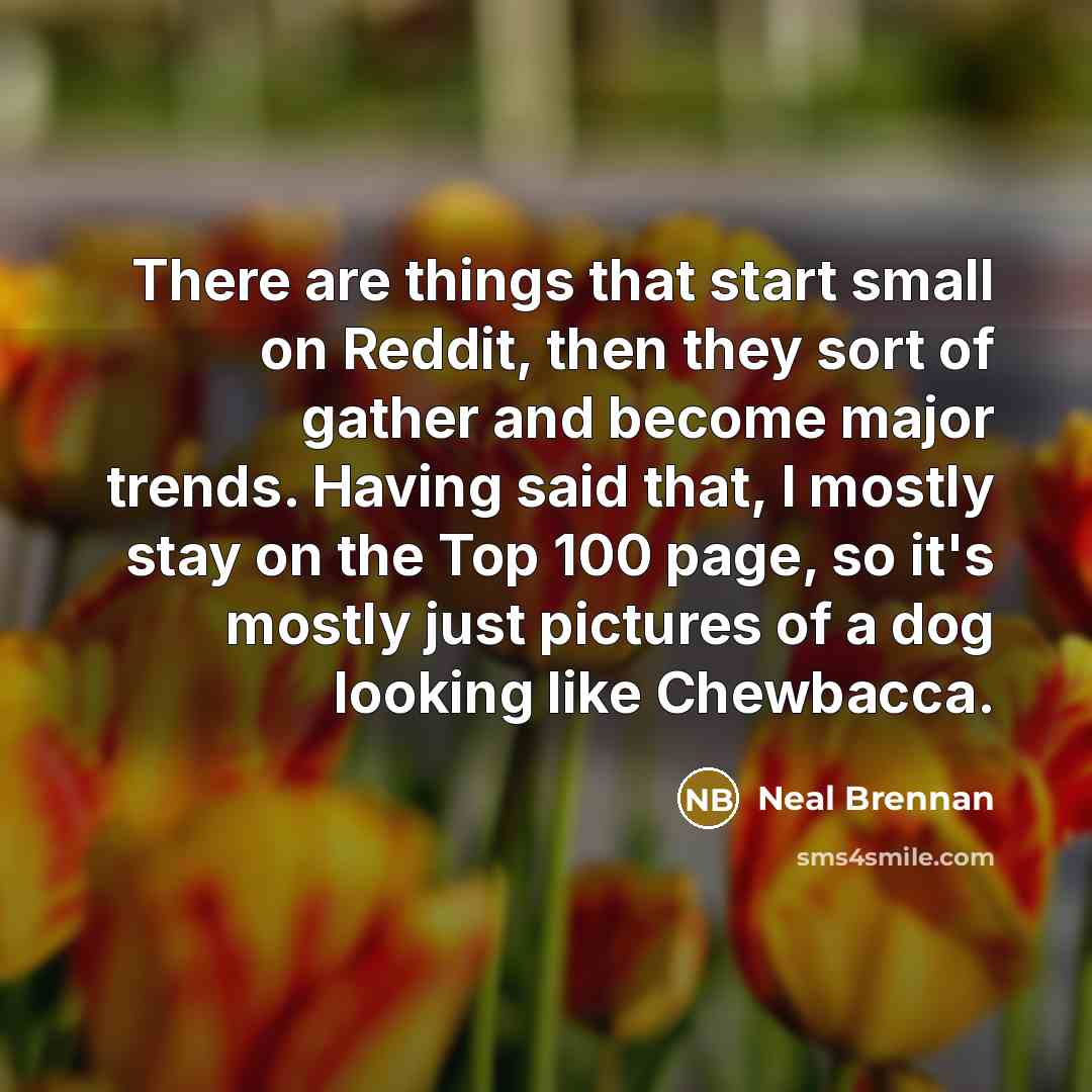 “There are things that start small on Reddit, then they sort of gather and become major trends. Having said that, I mostly stay on the Top 100 page, so it's mostly just pictures of a dog looking like Chewbacca.” quote by Neal Brennan
