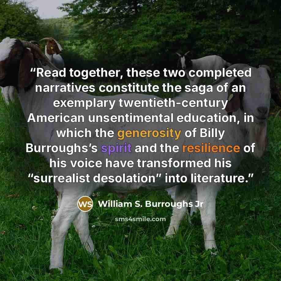 “Read together, these two completed narratives constitute the saga of an exemplary twentieth-century American unsentimental education, in which the generosity of Billy Burroughs’s spirit and the resilience of his voice have transformed his “surrealist desolation” into literature.” quote by William S. Burroughs Jr