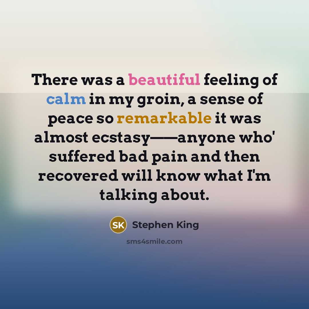 “There was a beautiful feeling of calm in my groin, a sense of peace so remarkable it was almost ecstasy——anyone who' suffered bad pain and then recovered will know what I'm talking about.” quote by Stephen King