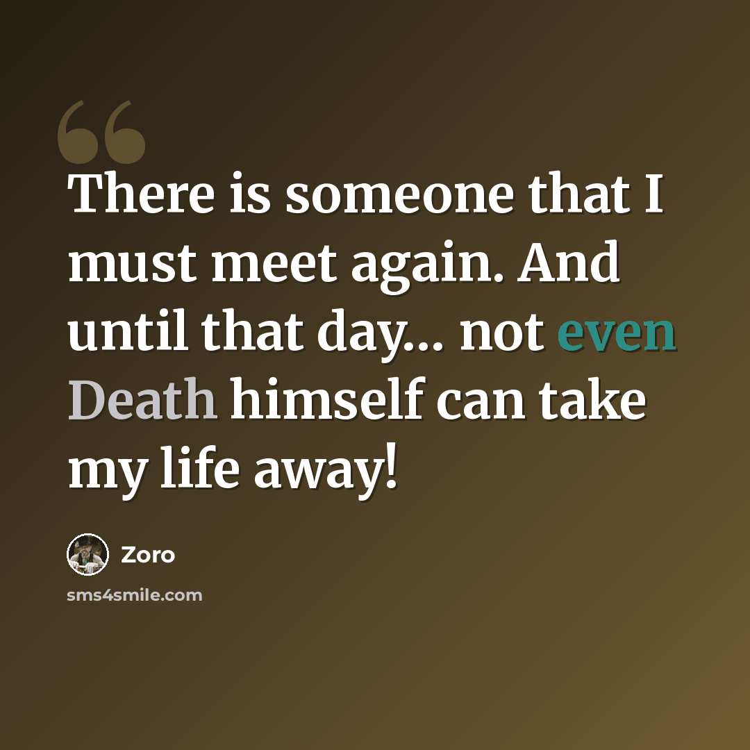 “There is someone that I must meet again. And until that day… not even Death himself can take my life away!” quote by Zoro