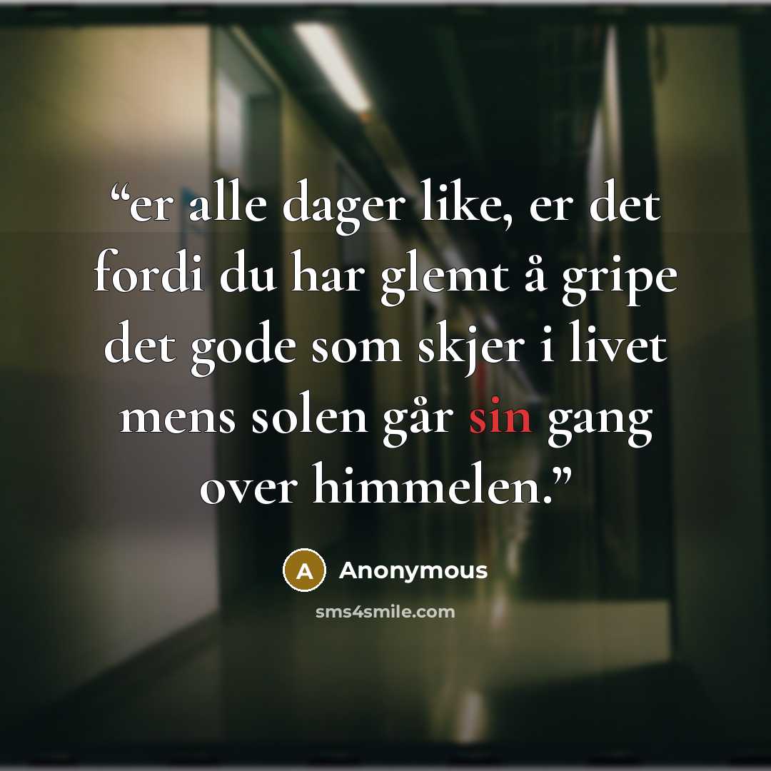 “er alle dager like, er det fordi du har glemt å gripe det gode som skjer i livet mens solen går sin gang over himmelen.” quote by Anonymous