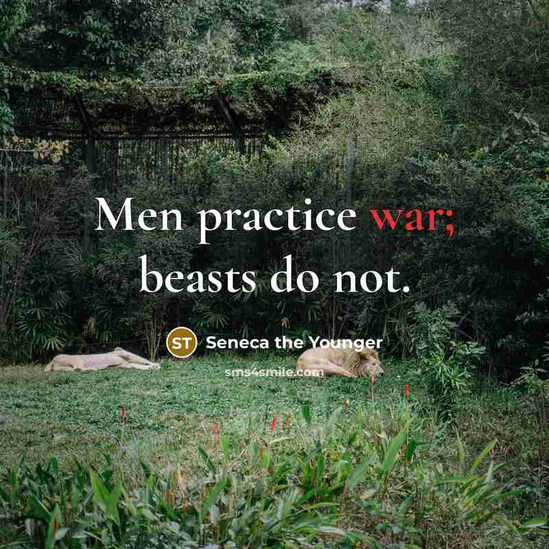 “Men practice war; beasts do not.” quote by Seneca the Younger