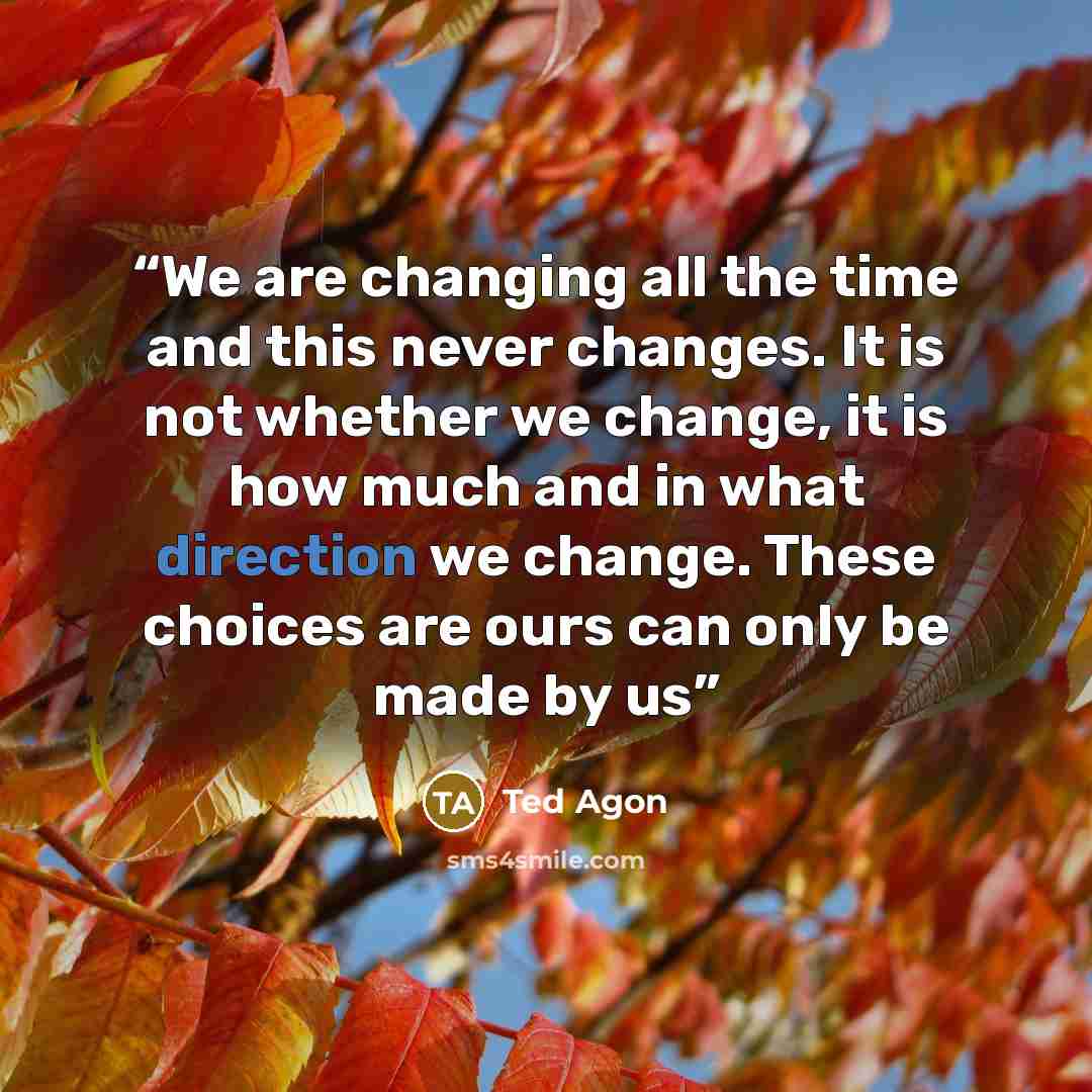 “We are changing all the time and this never changes. It is not whether we change, it is how much and in what direction we change. These choices are ours can only be made by us” quote by Ted Agon