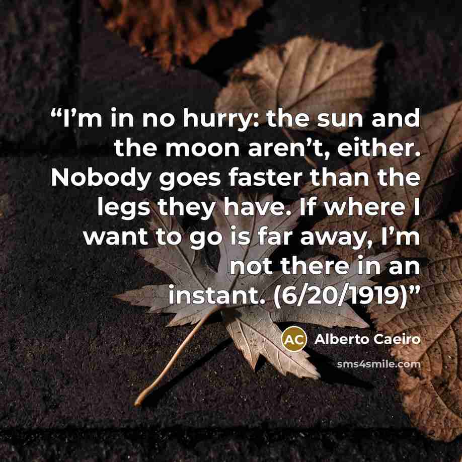 “I’m in no hurry: the sun and the moon aren’t, either. Nobody goes faster than the legs they have. If where I want to go is far away, I’m not there in an instant. (6/20/1919)” quote by Alberto Caeiro