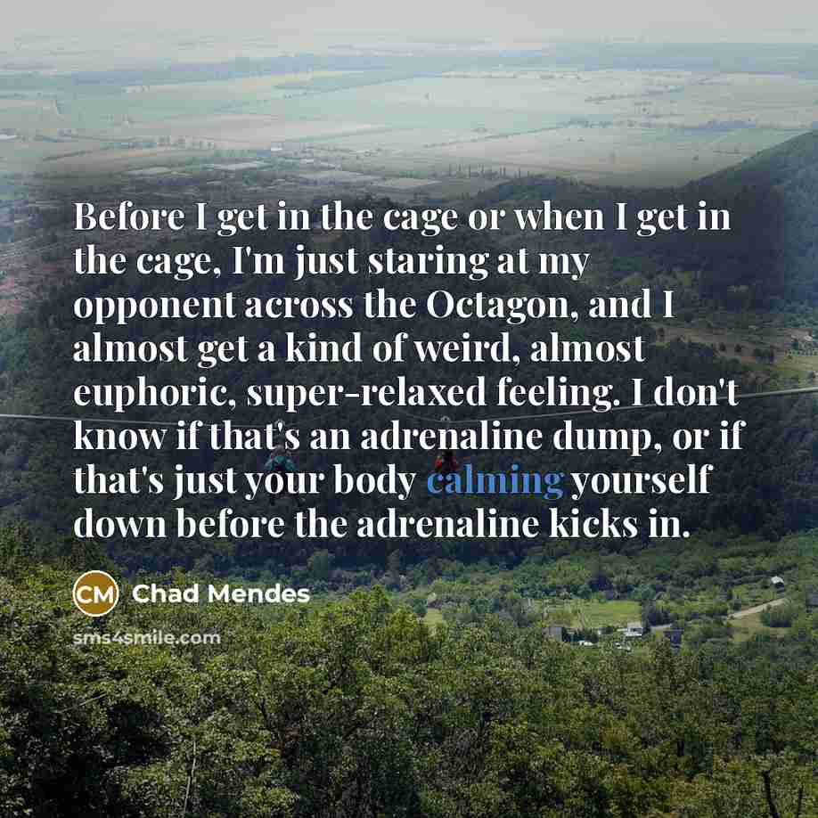 “Before I get in the cage or when I get in the cage, I'm just staring at my opponent across the Octagon, and I almost get a kind of weird, almost euphoric, super-relaxed feeling. I don't know if that's an adrenaline dump, or if that's just your body calming yourself down before the adrenaline kicks…” quote by Chad Mendes