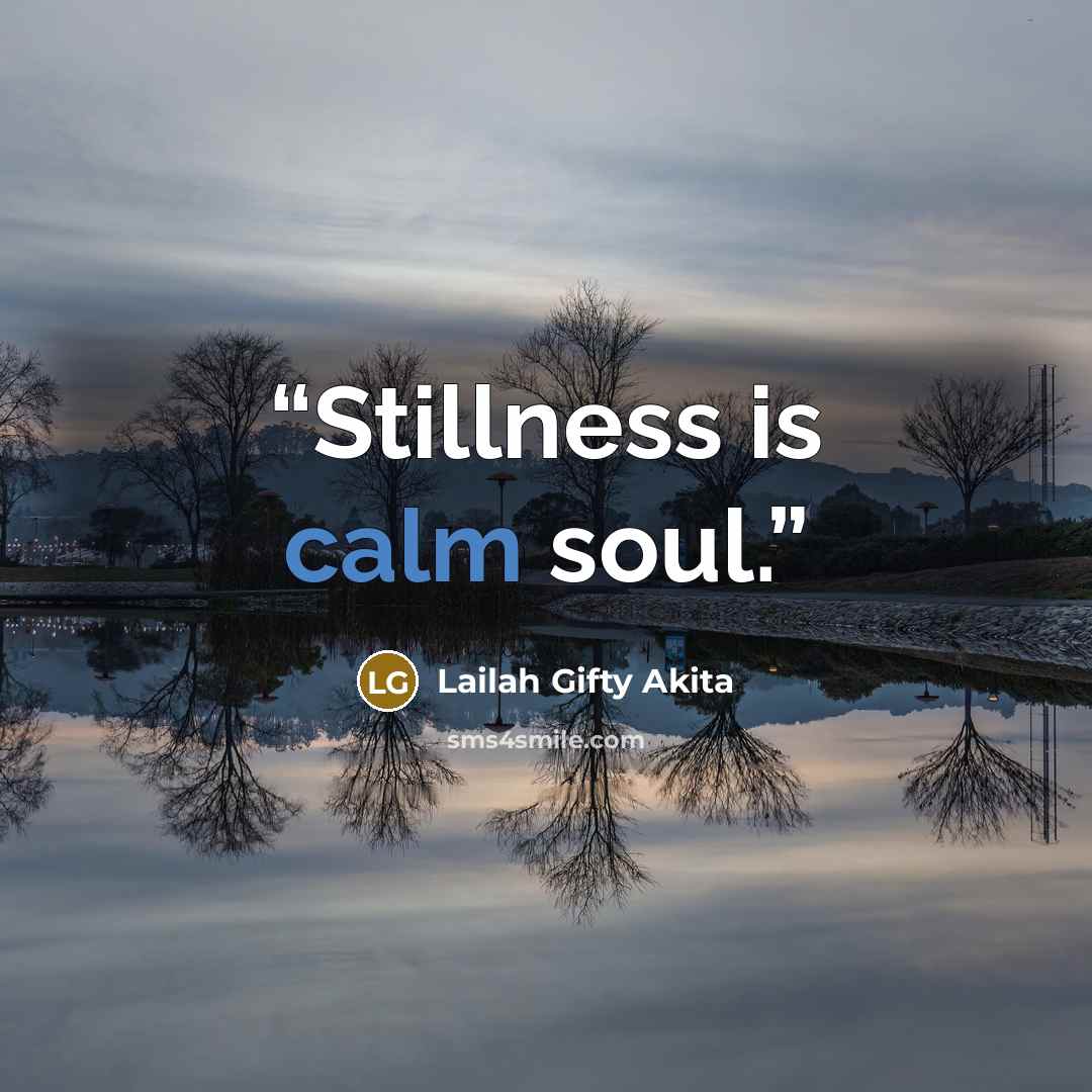 “Stillness is calm soul.” quote by Lailah Gifty Akita