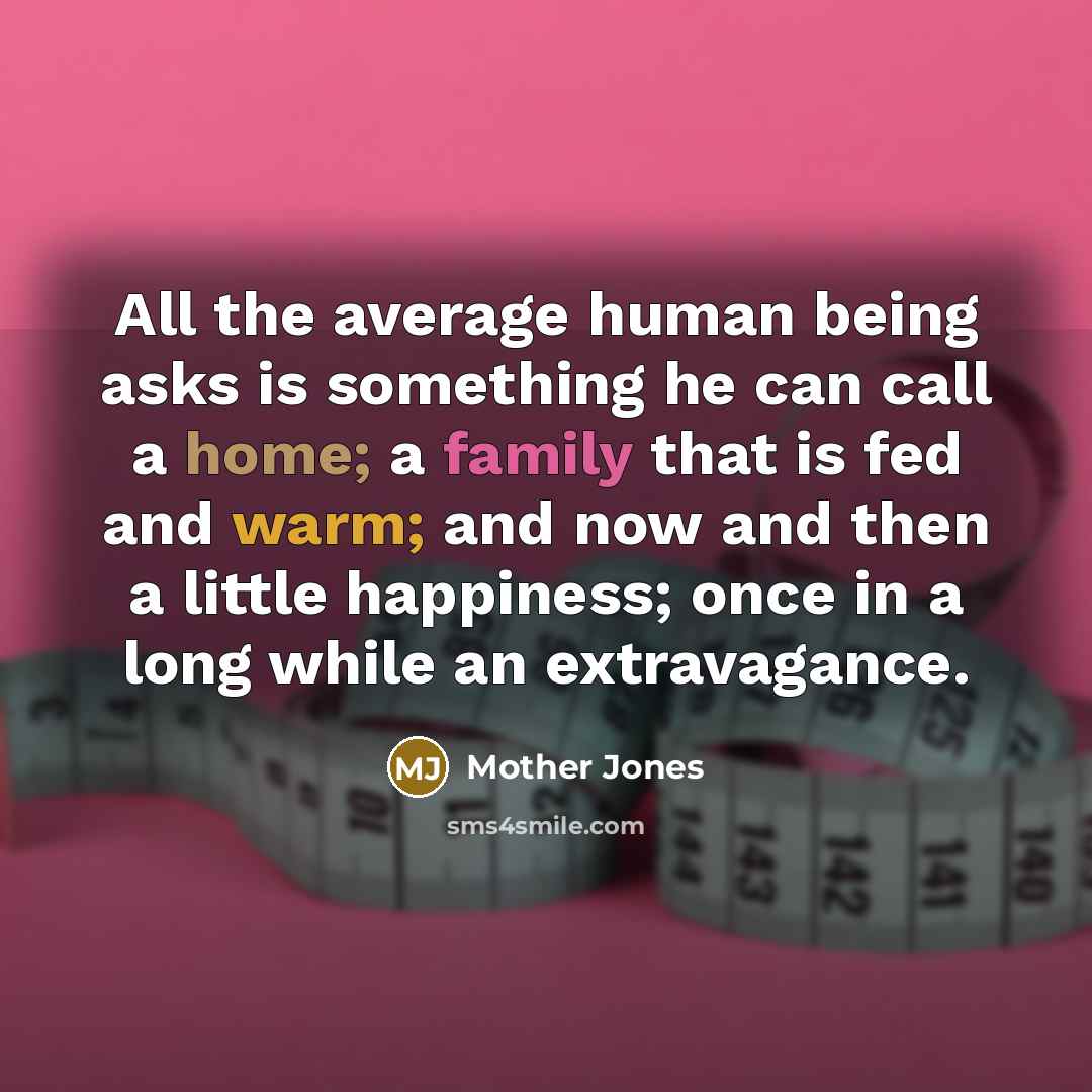 “All the average human being asks is something he can call a home; a family that is fed and warm; and now and then a little happiness; once in a long while an extravagance.” quote by Mother Jones