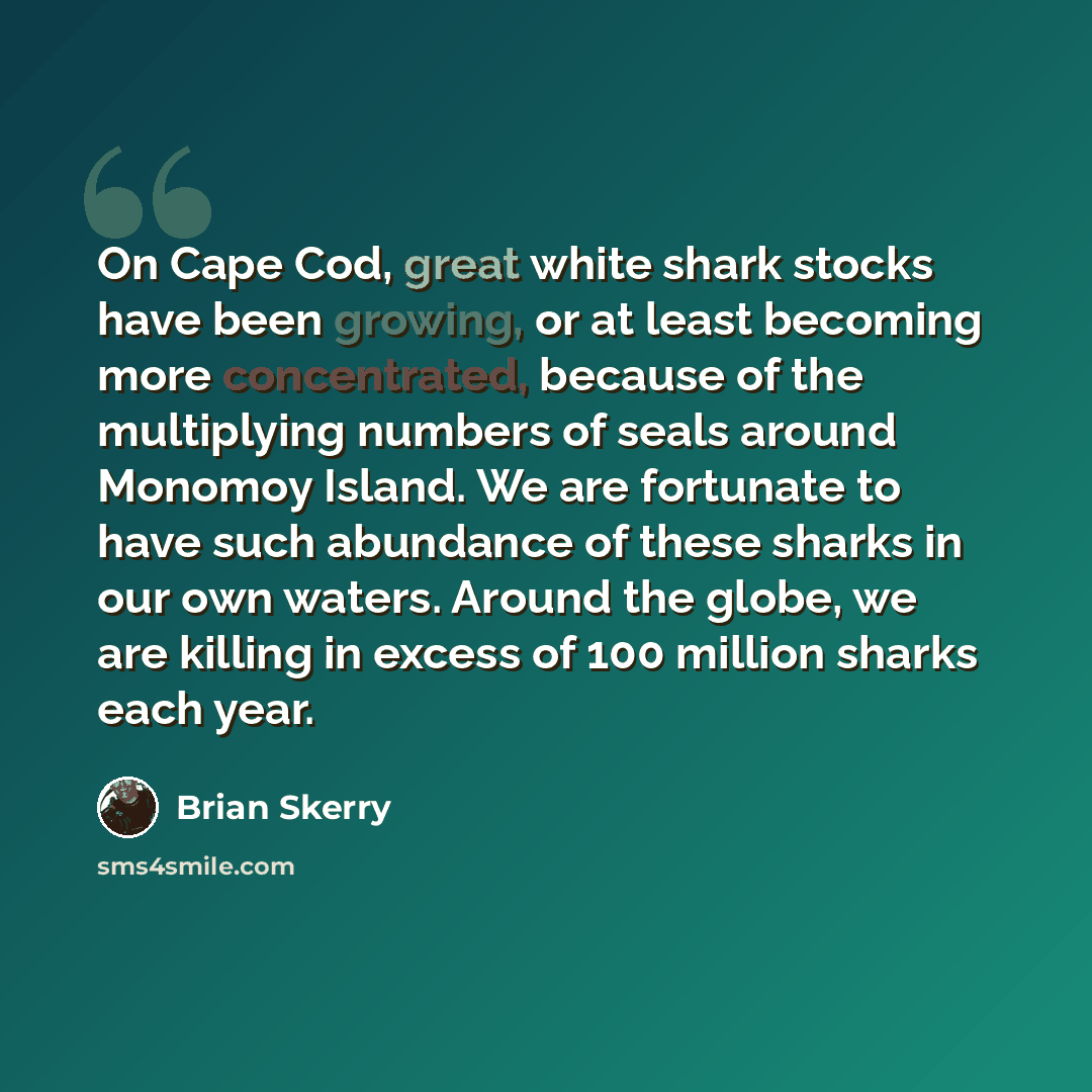 “On Cape Cod, great white shark stocks have been growing, or at least becoming more concentrated, because of the multiplying numbers of seals around Monomoy Island. We are fortunate to have such abundance of these sharks in our own waters. Around the globe, we are killing in excess of 100 million…” quote by Brian Skerry