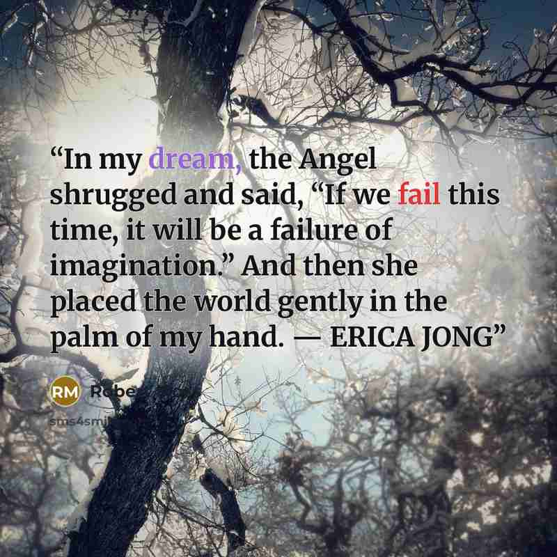 “In my dream, the Angel shrugged and said, “If we fail this time, it will be a failure of imagination.” And then she placed the world gently in the palm of my hand. — ERICA JONG” quote by Robert Moss