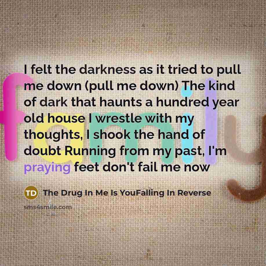 “I felt the darkness as it tried to pull me down (pull me down) The kind of dark that haunts a hundred year old house I wrestle with my thoughts, I shook the hand of doubt Running from my past, I'm praying feet don't fail me now” quote by The Drug In Me Is YouFalling In Reverse