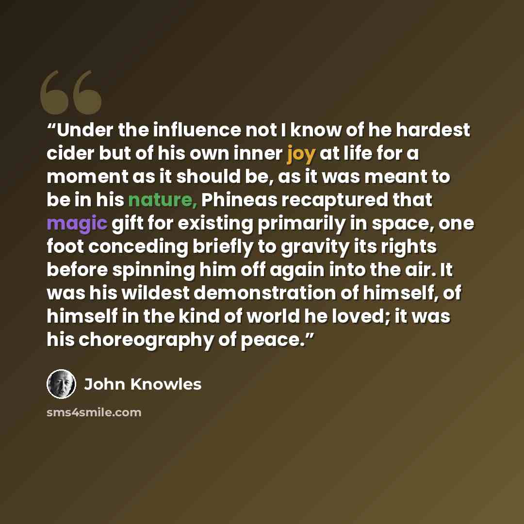 “Under the influence not I know of he hardest cider but of his own inner joy at life for a moment as it should be, as it was meant to be in his nature, Phineas recaptured that magic gift for existing primarily in space, one foot conceding briefly to gravity its rights before spinning him off again…” quote by John Knowles