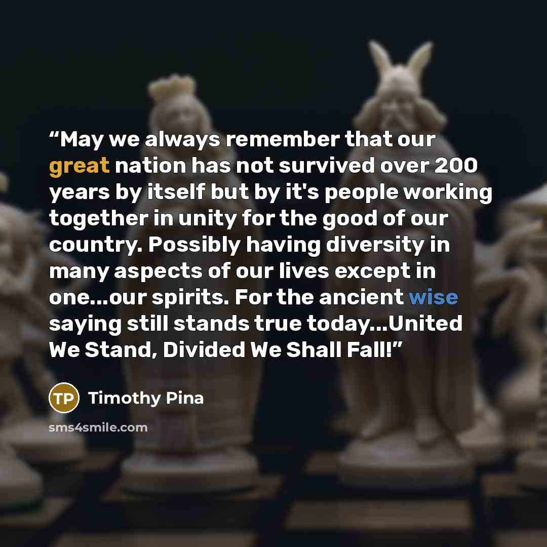 “May we always remember that our great nation has not survived over 200 years by itself but by it's people working together in unity for the good of our country. Possibly having diversity in many aspects of our lives except in one...our spirits. For the ancient wise saying still stands true…” quote by Timothy Pina
