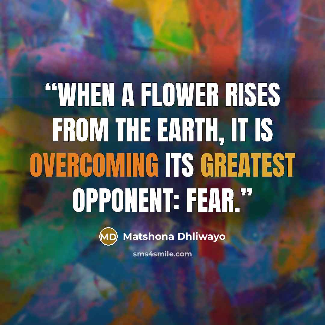 “When a flower rises from the earth, it is overcoming its greatest opponent: fear.” quote by Matshona Dhliwayo