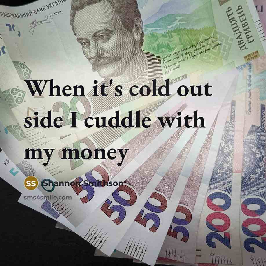 “When it's cold out side I cuddle with my money” quote by Shannon Smithson