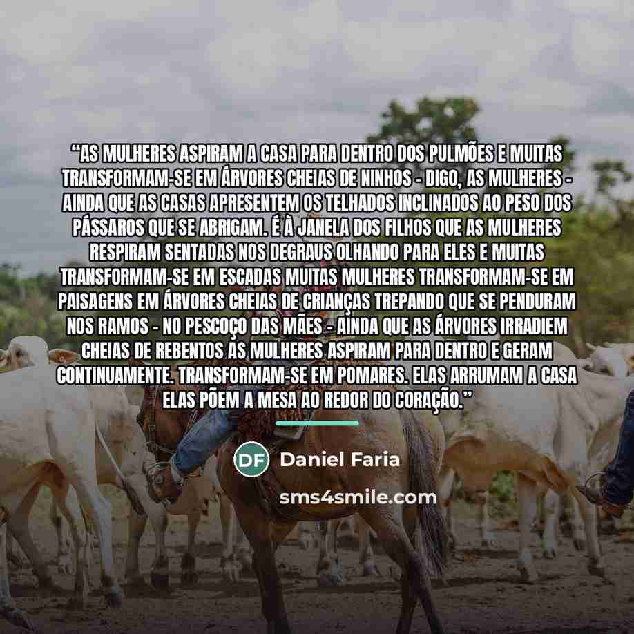 “As mulheres aspiram a casa para dentro dos pulmões E muitas transformam-se em árvores cheias de ninhos – digo, As mulheres – ainda que as casas apresentem os telhados inclinados Ao peso dos pássaros que se abrigam. É à janela dos filhos que as mulheres respiram Sentadas nos degraus olhando para…” quote by Daniel Faria