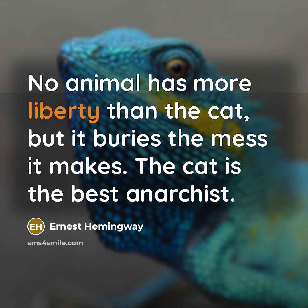 “No animal has more liberty than the cat, but it buries the mess it makes. The cat is the best anarchist.” quote by Ernest Hemingway