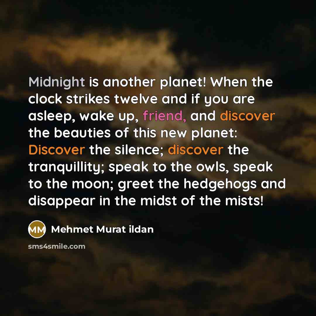 “Midnight is another planet! When the clock strikes twelve and if you are asleep, wake up, friend, and discover the beauties of this new planet: Discover the silence; discover the tranquillity; speak to the owls, speak to the moon; greet the hedgehogs and disappear in the midst of the mists!” quote by Mehmet Murat Ildan