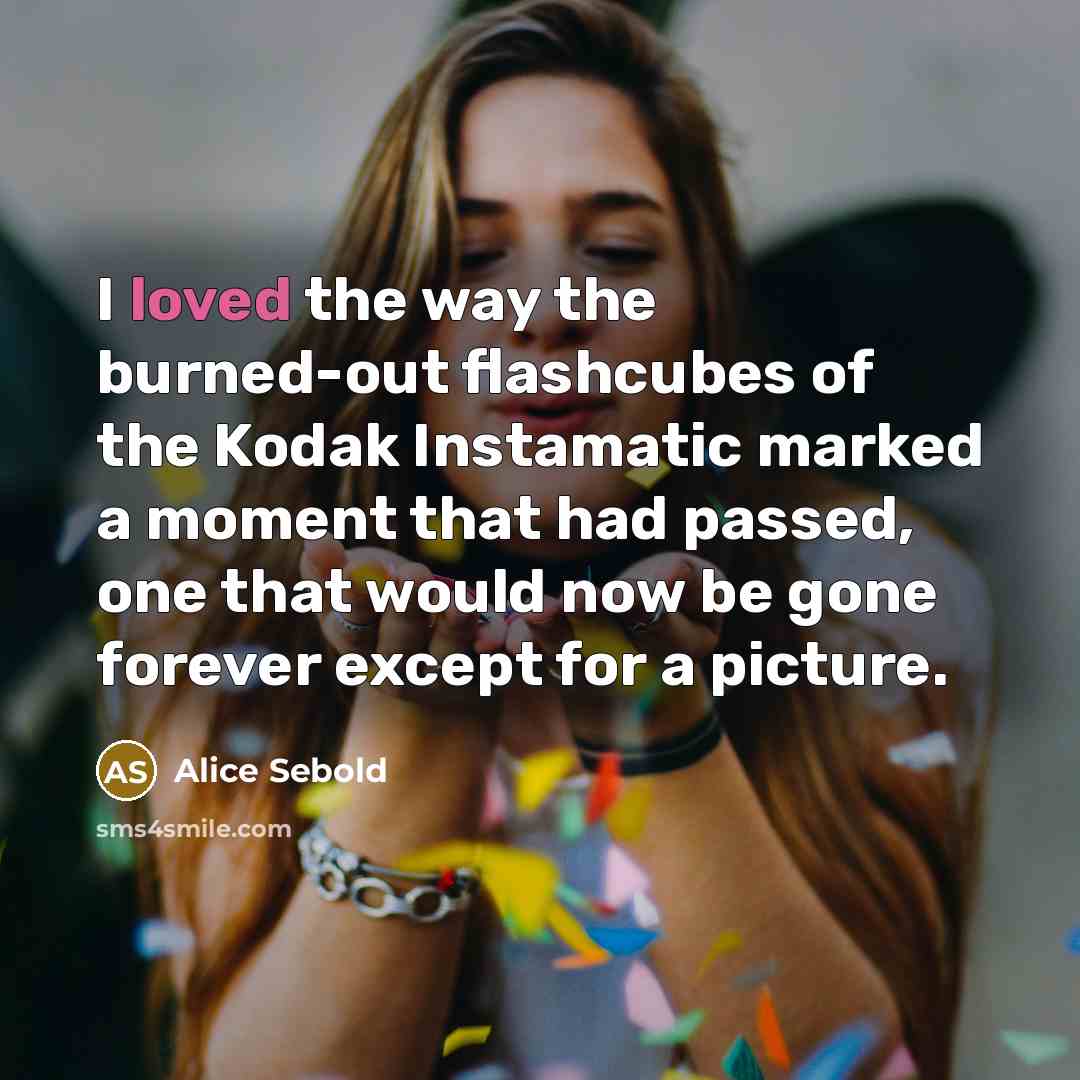 “I loved the way the burned-out flashcubes of the Kodak Instamatic marked a moment that had passed, one that would now be gone forever except for a picture.” quote by Alice Sebold