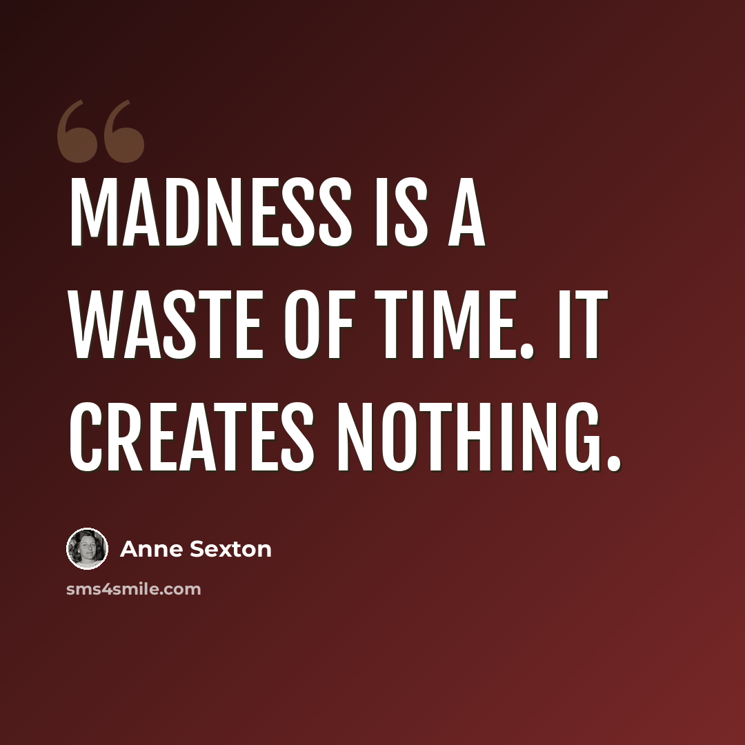 “Madness is a waste of time. It creates nothing.” quote by Anne Sexton
