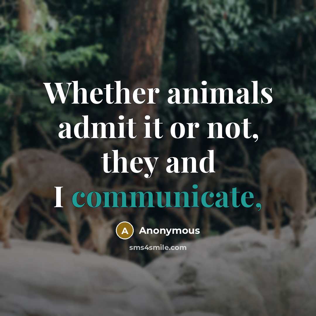 “Whether animals admit it or not, they and I communicate,” quote by Anonymous