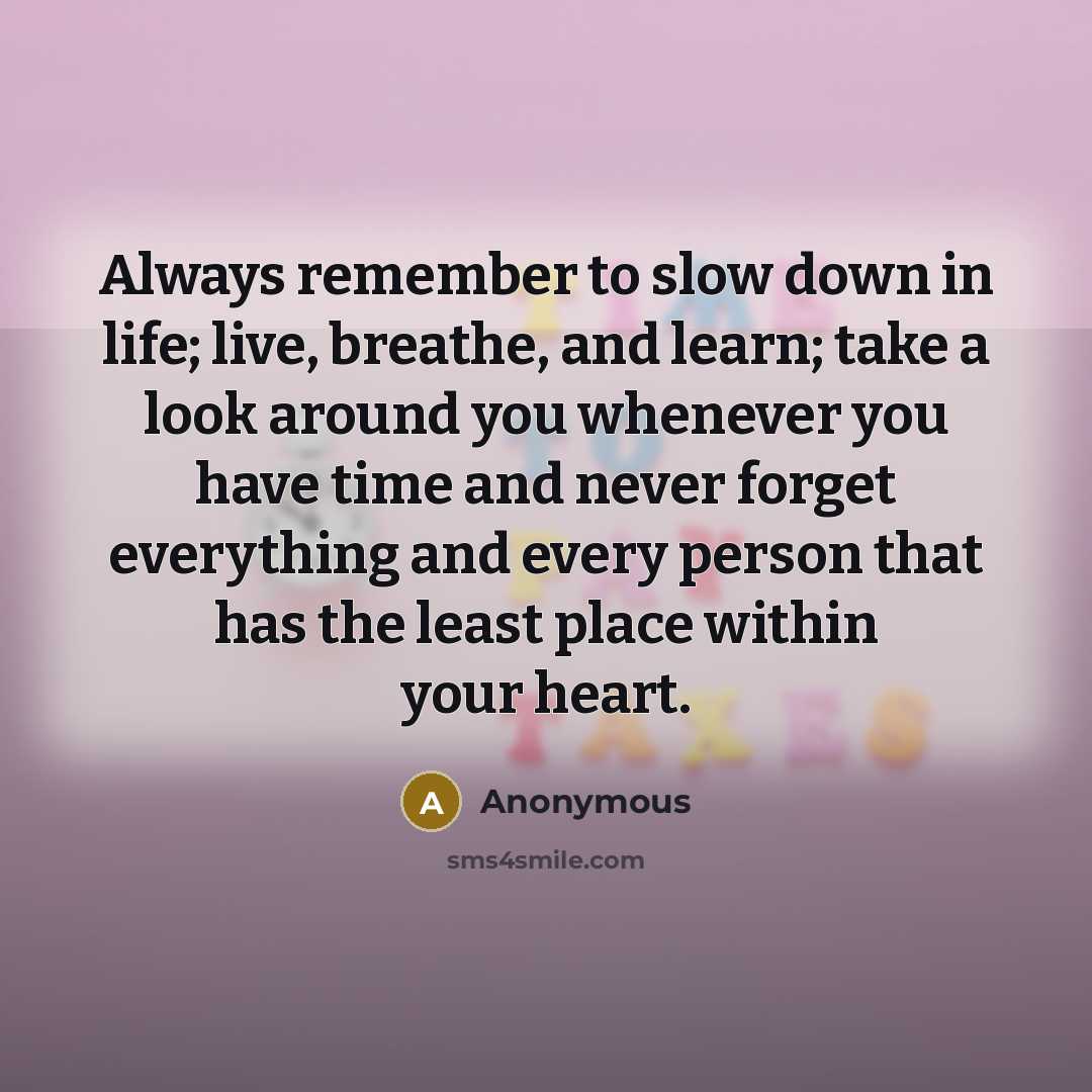 “Always remember to slow down in life; live, breathe, and learn; take a look around you whenever you have time and never forget everything and every person that has the least place within your heart.” quote by Anonymous