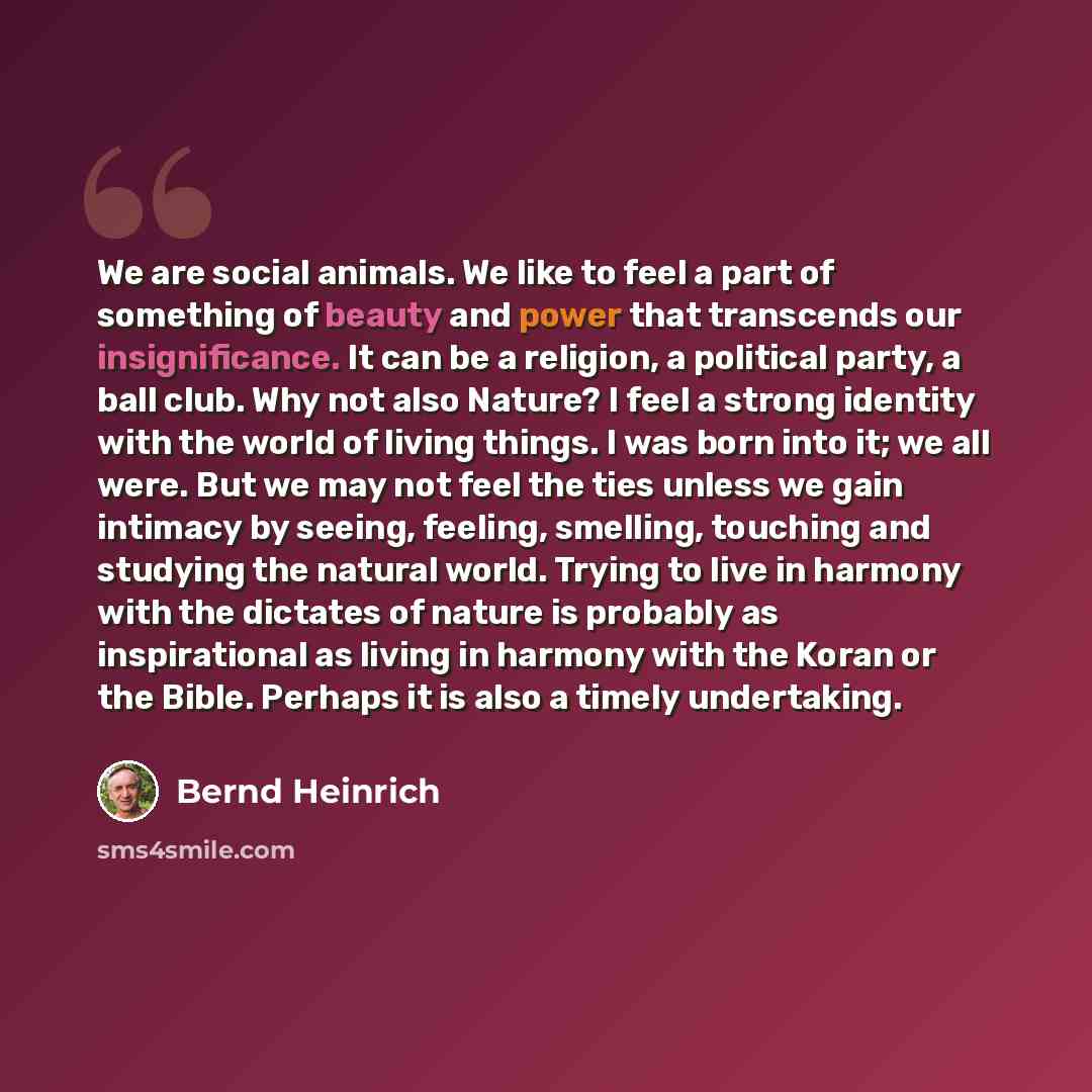 “We are social animals. We like to feel a part of something of beauty and power that transcends our insignificance. It can be a religion, a political party, a ball club. Why not also Nature? I feel a strong identity with the world of living things. I was born into it; we all were. But we may not…” quote by Bernd Heinrich